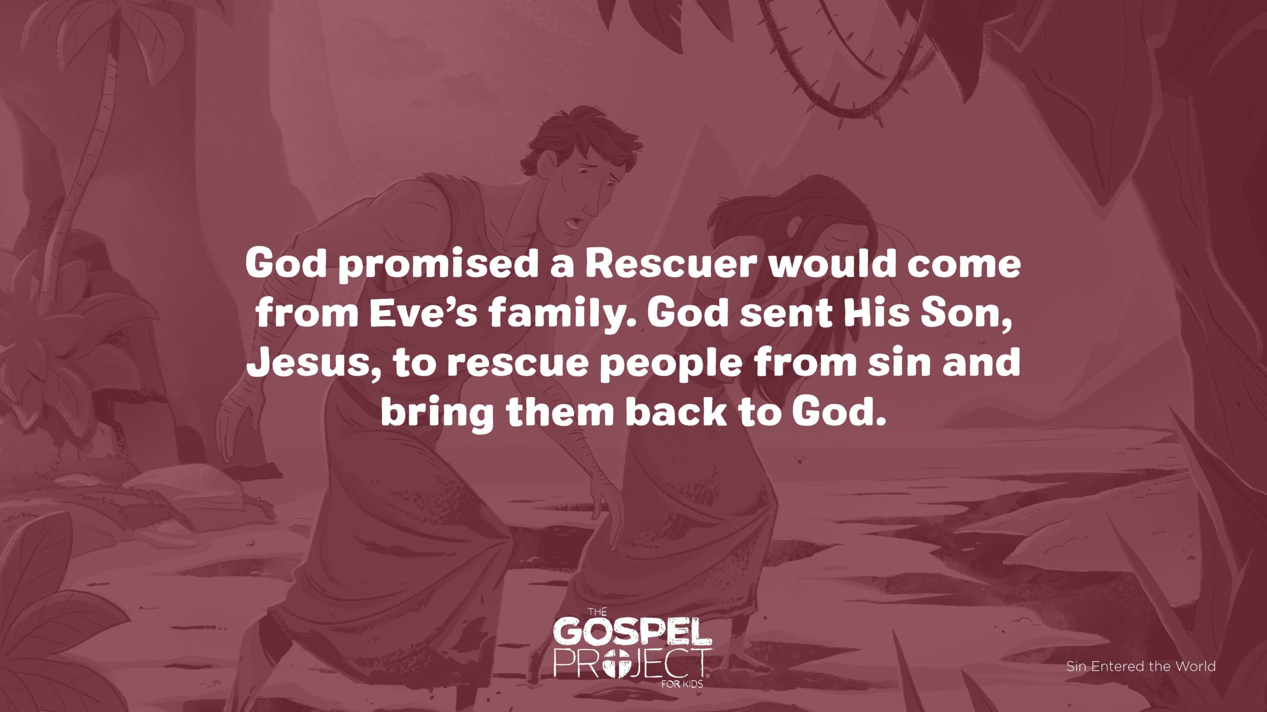 the-gospel-project-the-gospel-project